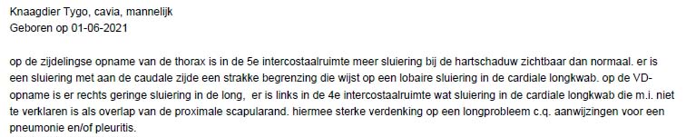 Beoordeling van de rontgenfoto van de borstholte van cavia tygo